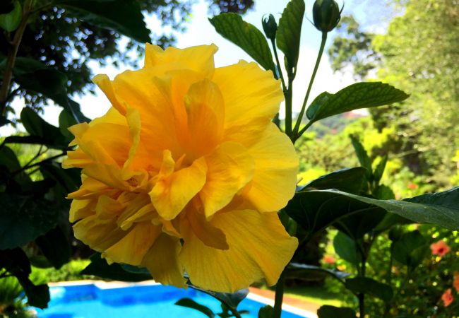 Villa à Maracalagonis - Holiday rental in Torre delle Stelle, Sardinia Villa à Maracalagonis - Holiday rental in Torre delle Stelle, Sardinia