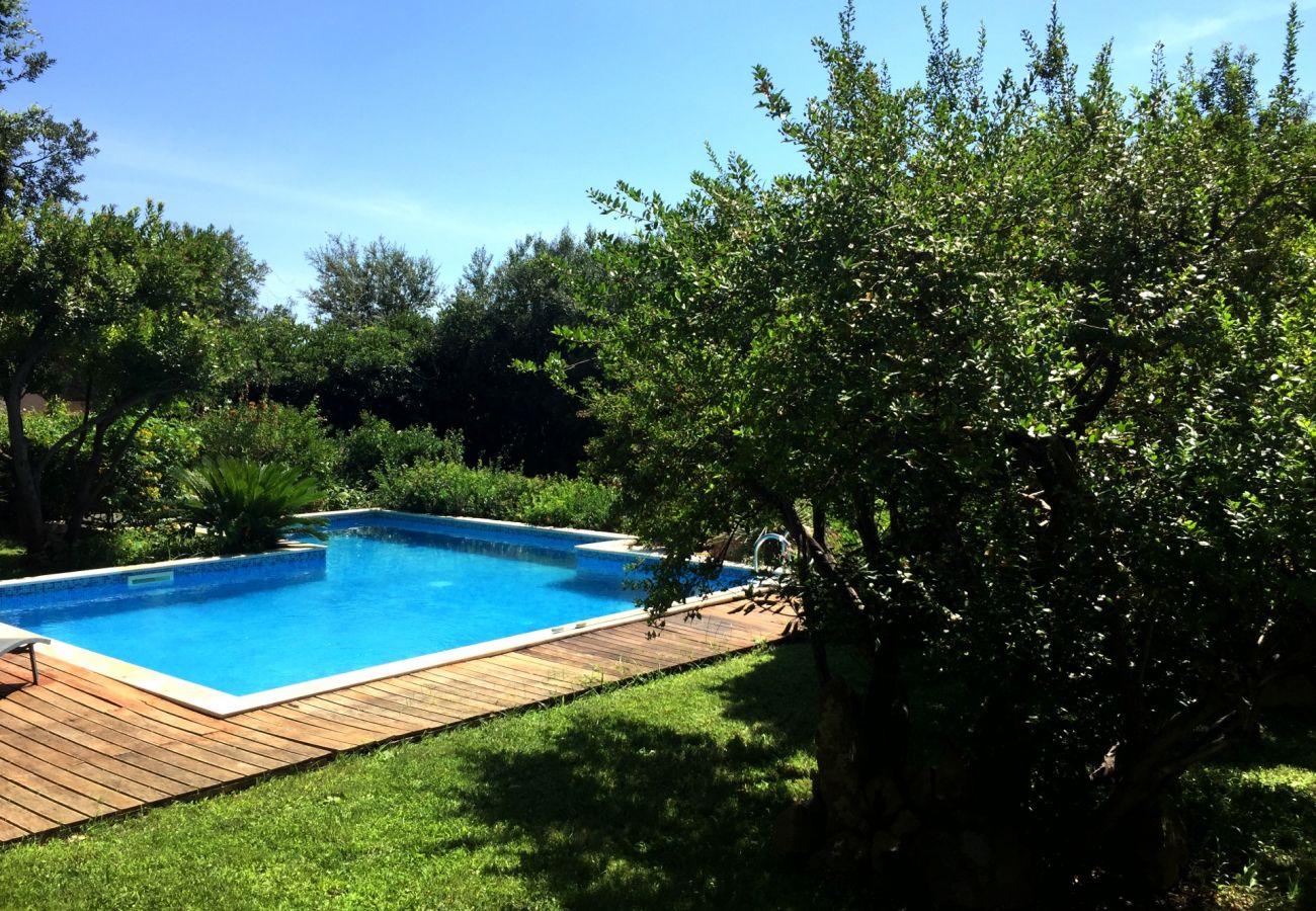 Villa à Maracalagonis - Holiday rental in Torre delle Stelle, Sardinia