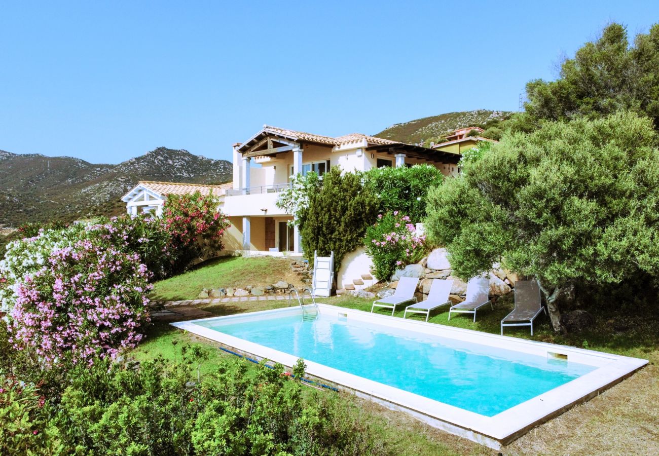 Villa con piscina e vista mare in affitto in Sardegna