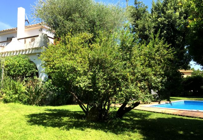 Villa in Maracalagonis - Holiday rental in Torre delle Stelle, Sardinia Villa in Maracalagonis - Holiday rental in Torre delle Stelle, Sardinia