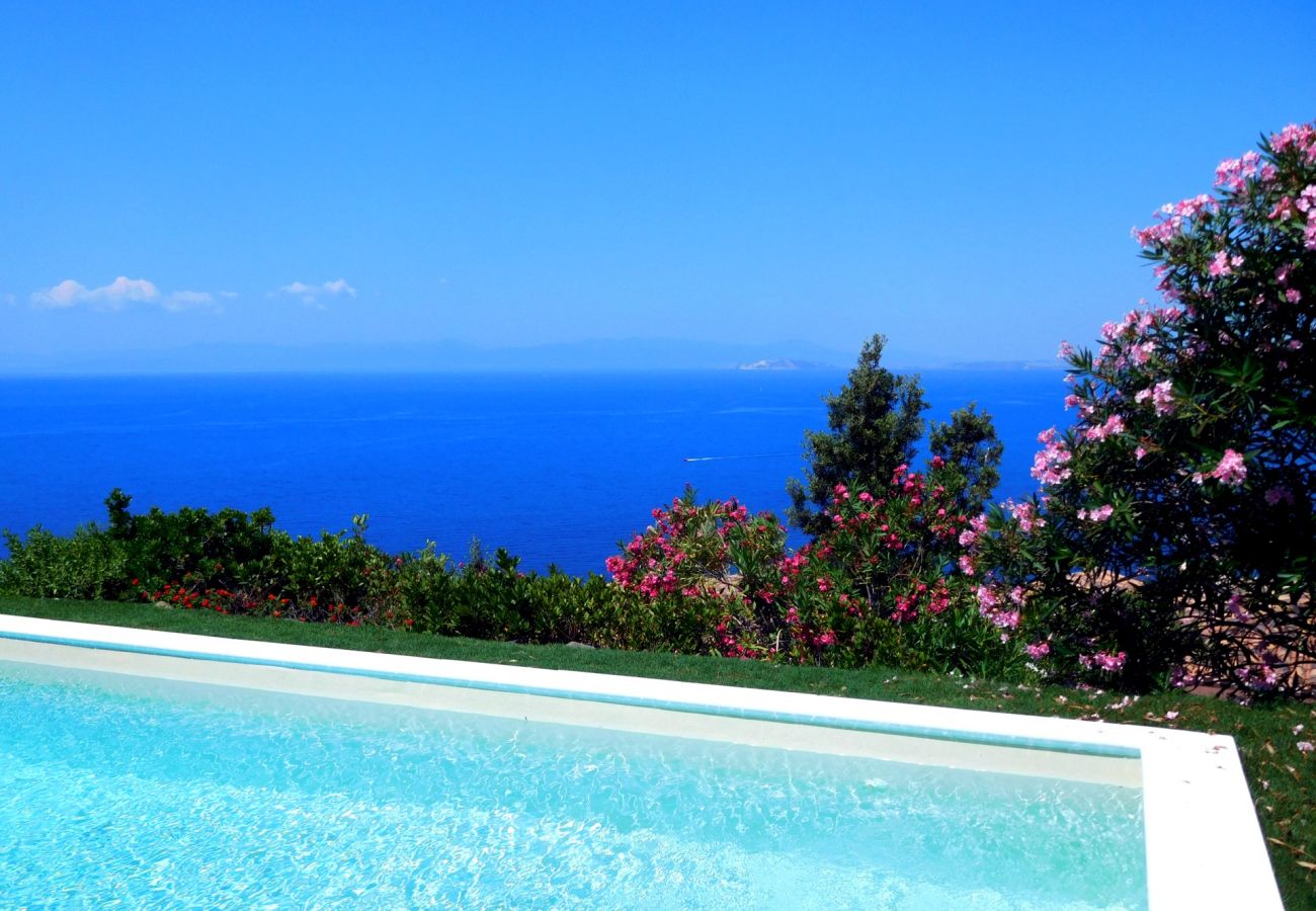 holiday homes with pool in Sardinia 